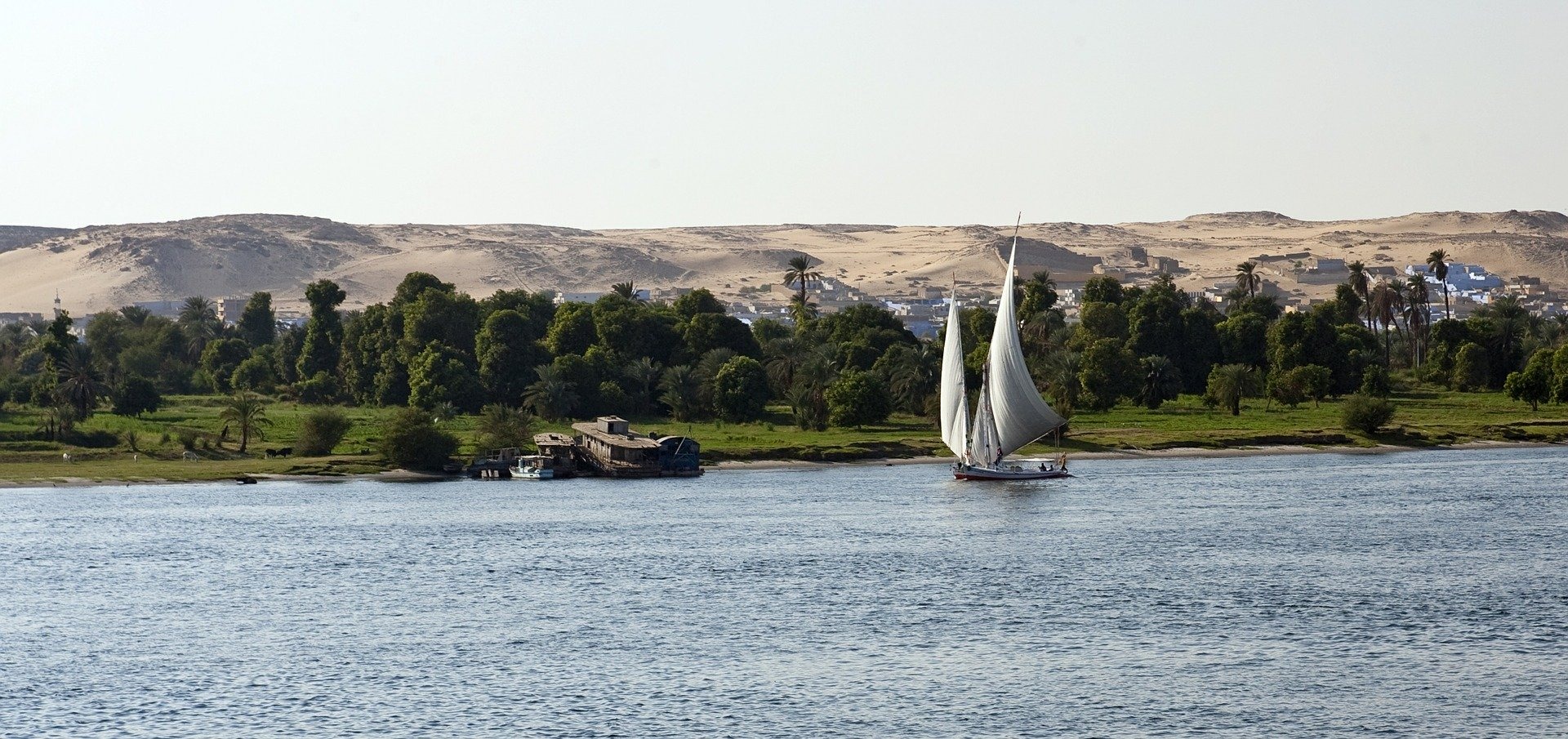 egypt tours online